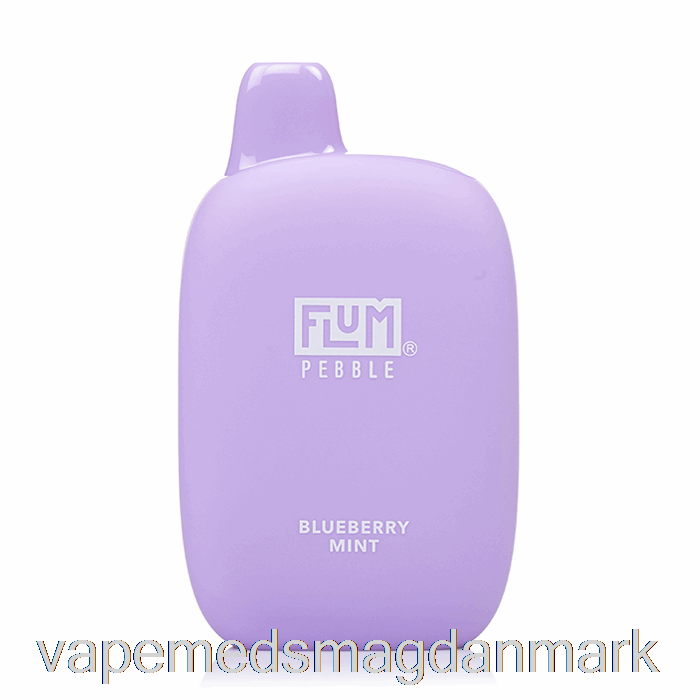 Engangs Vape Danmark Flum Pebble 6000 Engangs Blåbær Mynte